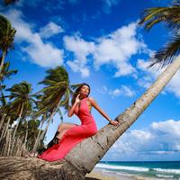 Отзыв от Алиса - DTV виза